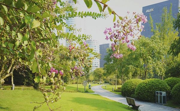 城市公园规划设计中的文化体现